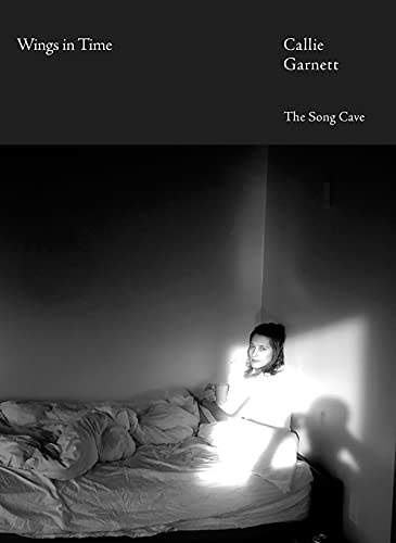 cover image Wings in Time