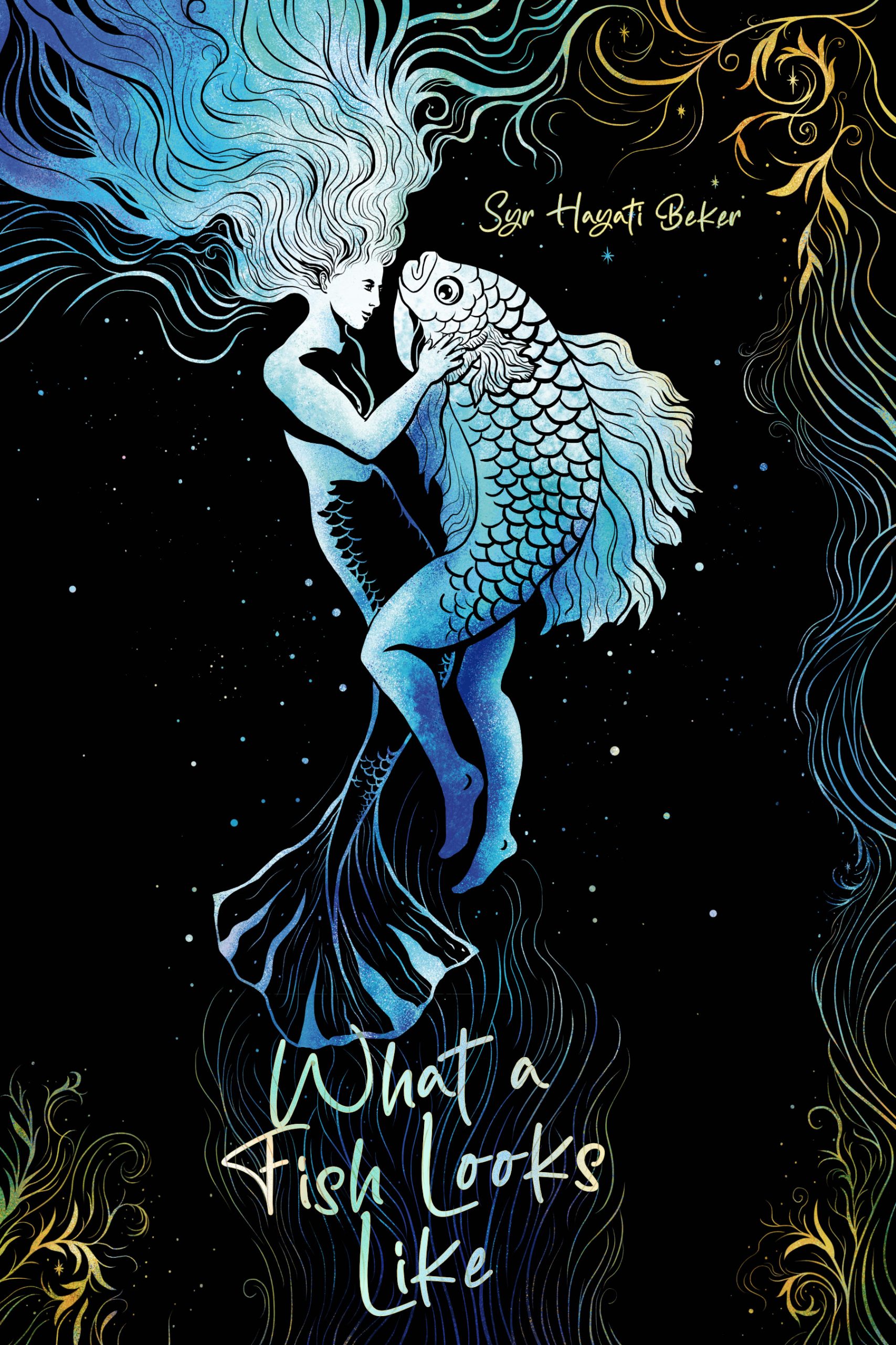 cover image What a Fish Looks Like