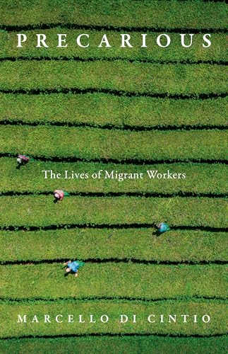 cover image Precarious: The Lives of Migrant Workers