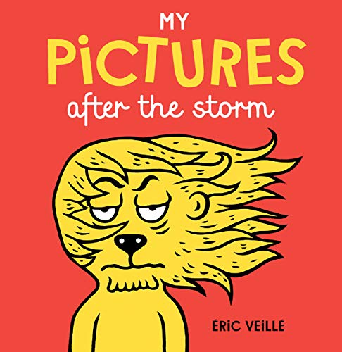 cover image My Pictures After the Storm