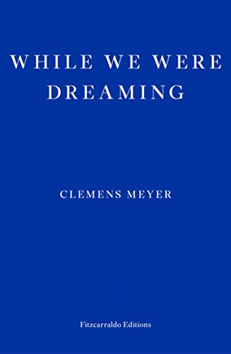 cover image While We Were Dreaming