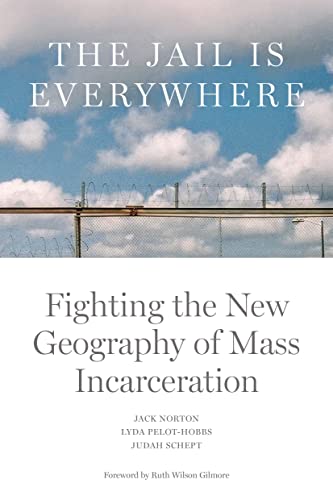 cover image The Jail Is Everywhere: Fighting the New Geography of Mass Incarceration