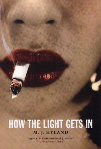 cover image How the Light Gets in