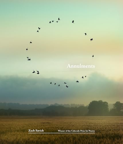 cover image Annulments