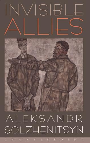 cover image Invisible Allies
