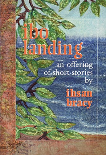 cover image Ibo Landing