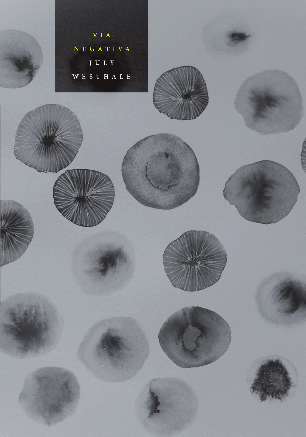 cover image Via Negativa