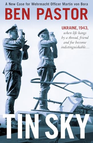 cover image Tin Sky