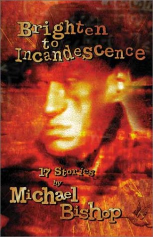 cover image Brighten to Incandescence: 17 Stories