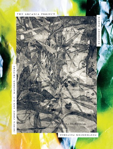 cover image The Arcadia Project: North American Postmodern Pastoral