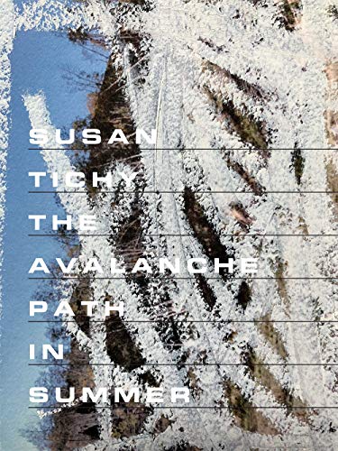 cover image The Avalanche Path in Summer