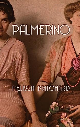 cover image Palmerino 