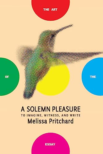 cover image A Solemn Pleasure: To Imagine, Witness, and Write