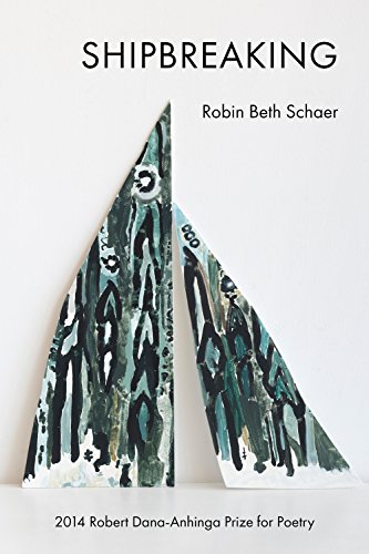 cover image Shipbreaking