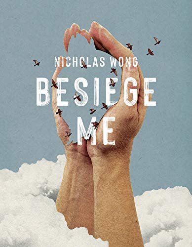 cover image Besiege Me