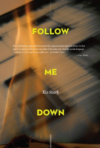 cover image Follow Me Down