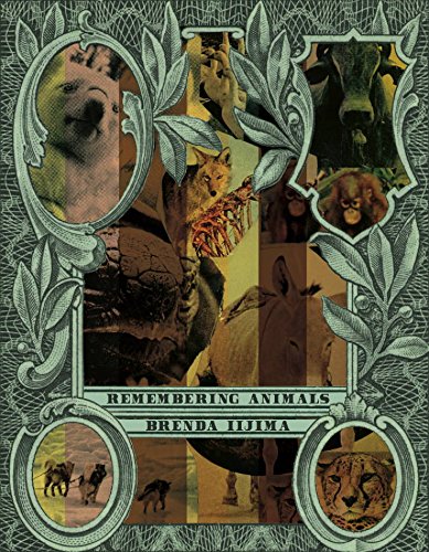 cover image Remembering Animals