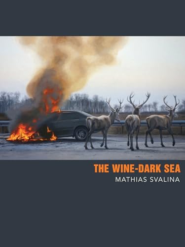 cover image The Wine-Dark Sea
