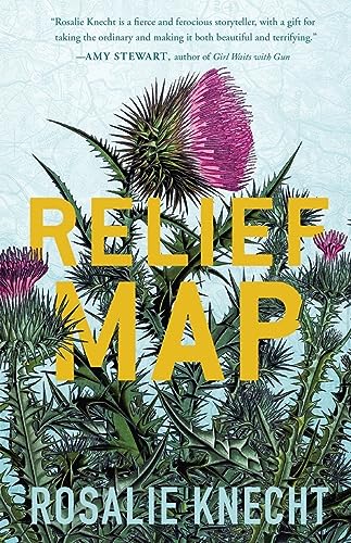 cover image Relief Map 