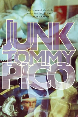 cover image Junk