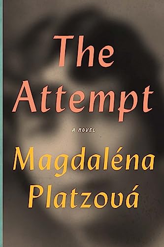 cover image The Attempt