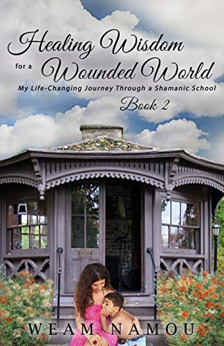 cover image Healing Wisdom for a Wounded World: My Life-Changing Journey Through a Shamanic School (Book 2) 