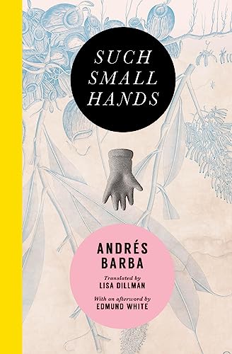 cover image Such Small Hands