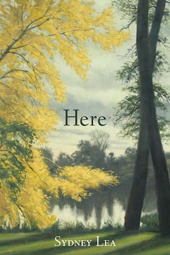 cover image Here