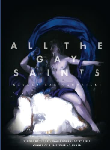 cover image All the Gay Saints