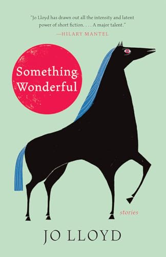 cover image Something Wonderful