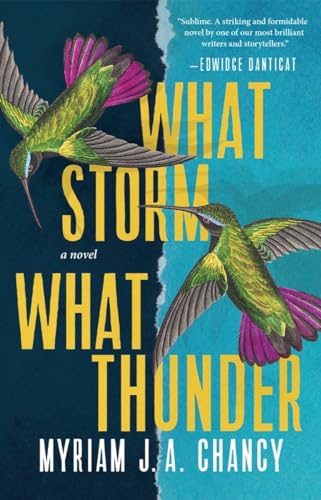 cover image What Storm, What Thunder