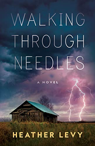 cover image Walking Through Needles 