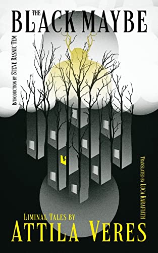 cover image The Black Maybe: Liminal Tales