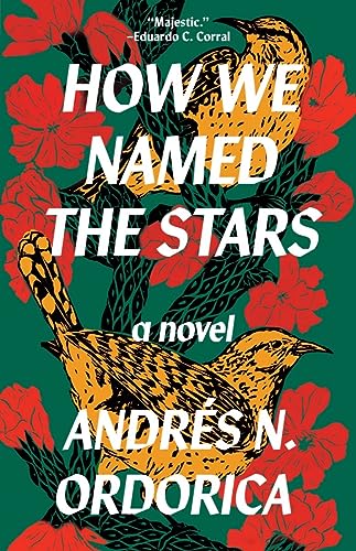 cover image How We Named the Stars