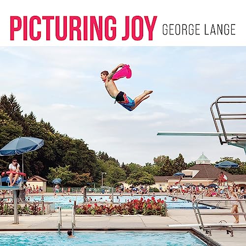 cover image Picturing Joy