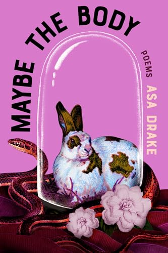 cover image Maybe the Body