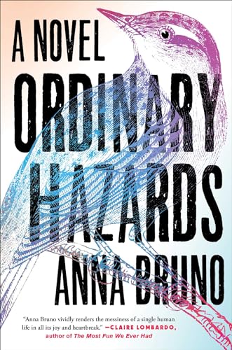 cover image Ordinary Hazards
