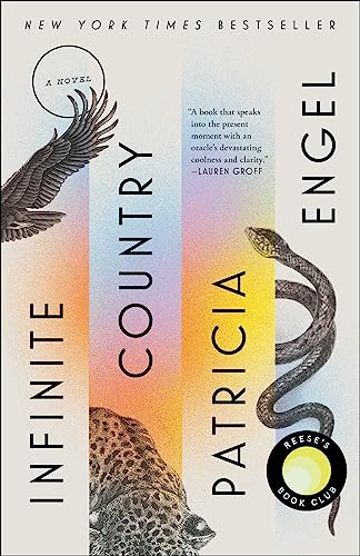 cover image Infinite Country