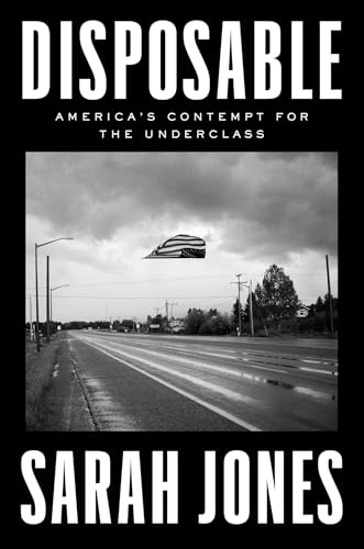 cover image Disposable: America’s Contempt for the Underclass