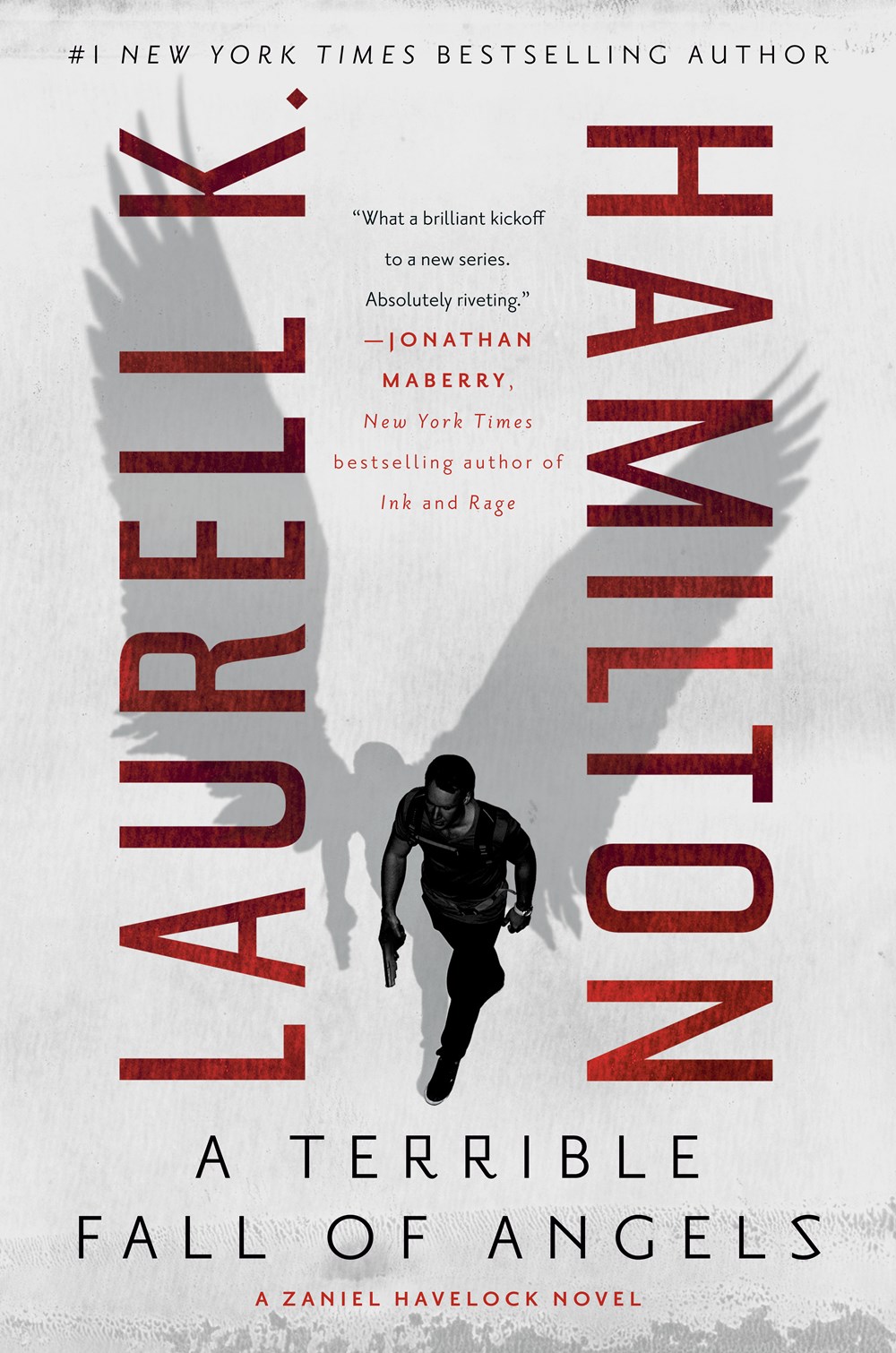 cover image A Terrible Fall of Angels