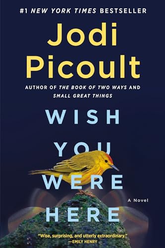 cover image Wish You Were Here