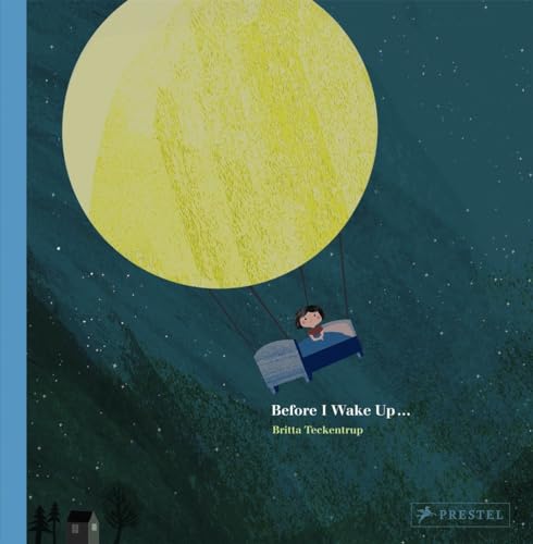 cover image Before I Wake Up