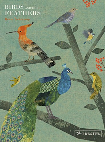 cover image Birds and Their Feathers