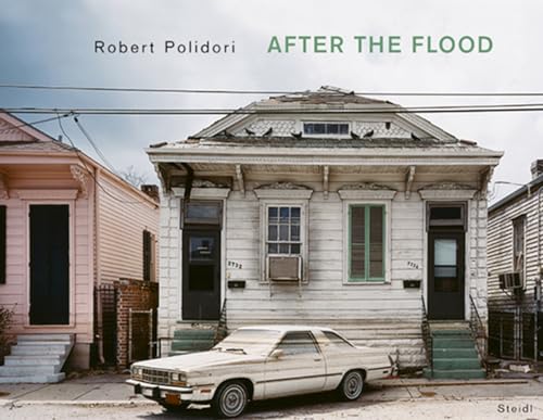 cover image After the Flood