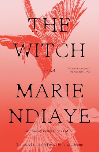 cover image The Witch