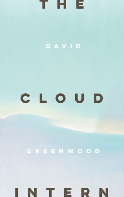 cover image The Cloud Intern